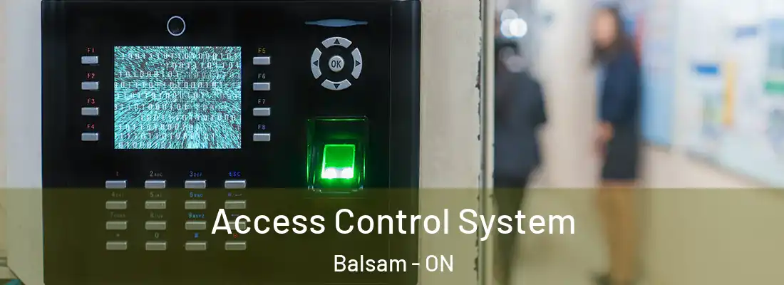  Access Control System Balsam - ON