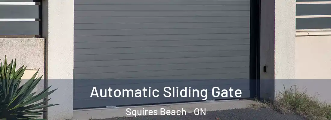  Automatic Sliding Gate Squires Beach - ON