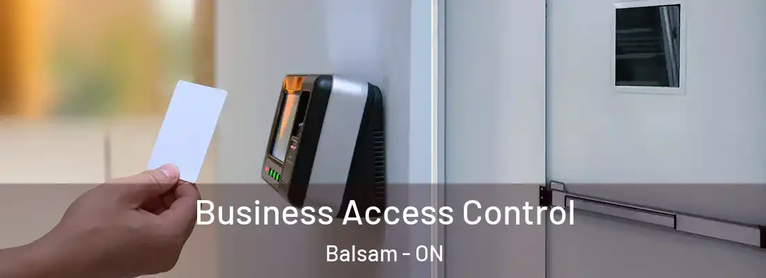  Business Access Control Balsam - ON