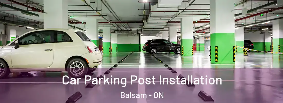  Car Parking Post Installation Balsam - ON