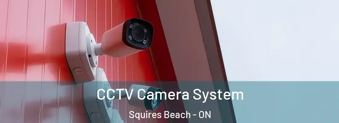  CCTV Camera System Squires Beach - ON