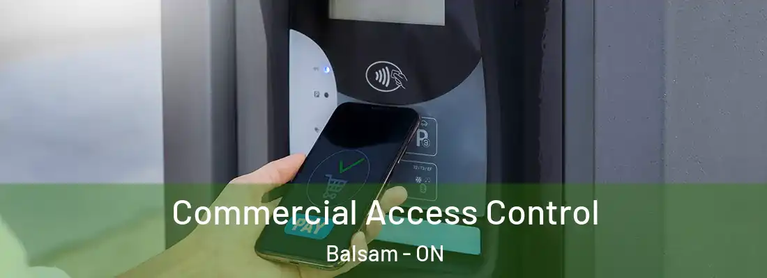  Commercial Access Control Balsam - ON
