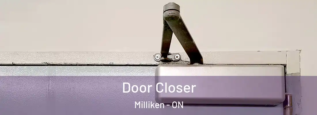  Door Closer Milliken - ON