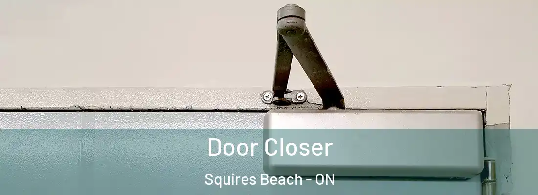  Door Closer Squires Beach - ON