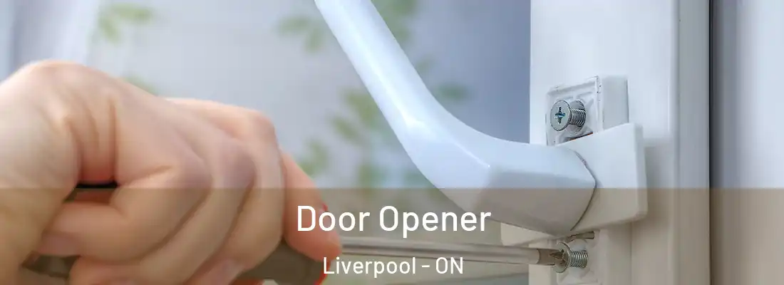 Door Opener Liverpool - ON