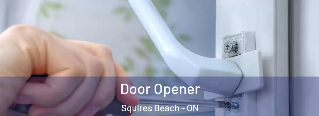  Door Opener Squires Beach - ON