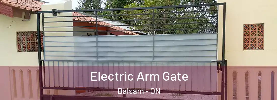  Electric Arm Gate Balsam - ON