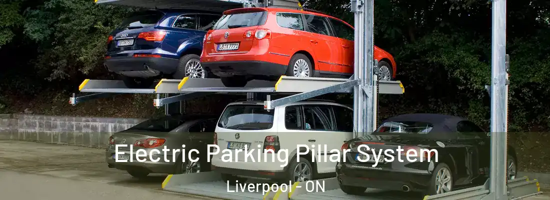  Electric Parking Pillar System Liverpool - ON