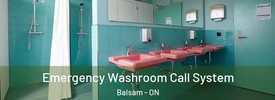  Emergency Washroom Call System Balsam - ON