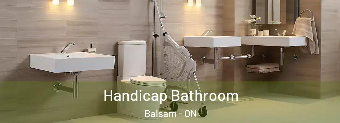  Handicap Bathroom Balsam - ON