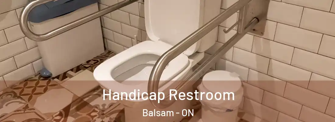  Handicap Restroom Balsam - ON