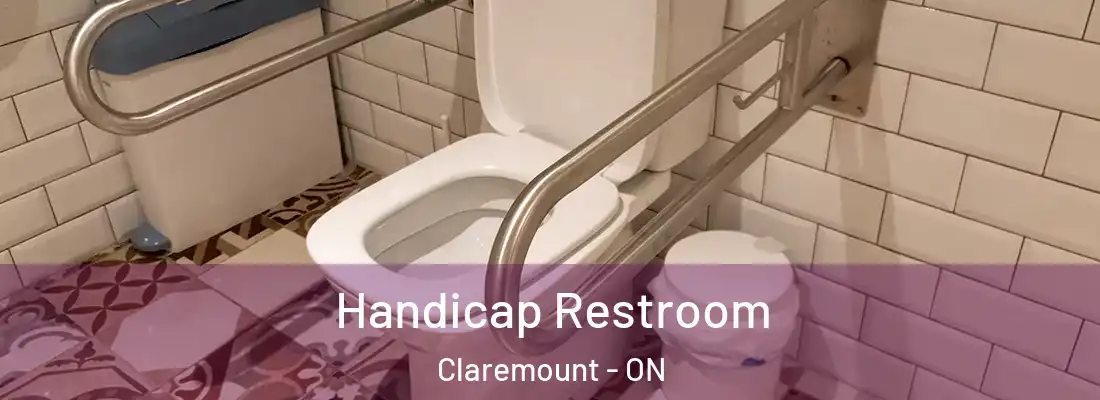  Handicap Restroom Claremount - ON