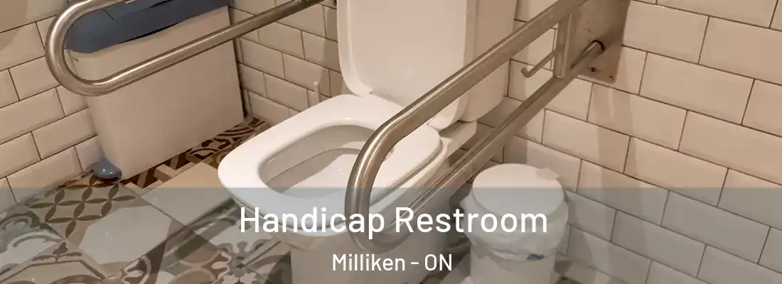  Handicap Restroom Milliken - ON