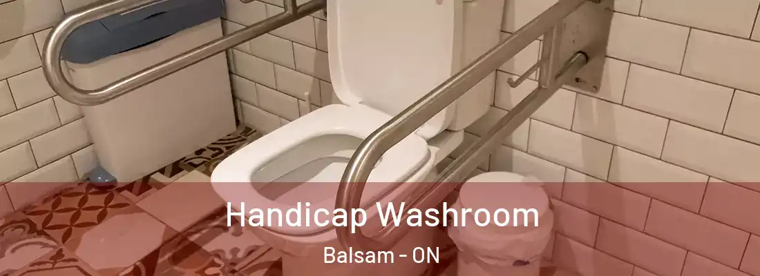  Handicap Washroom Balsam - ON