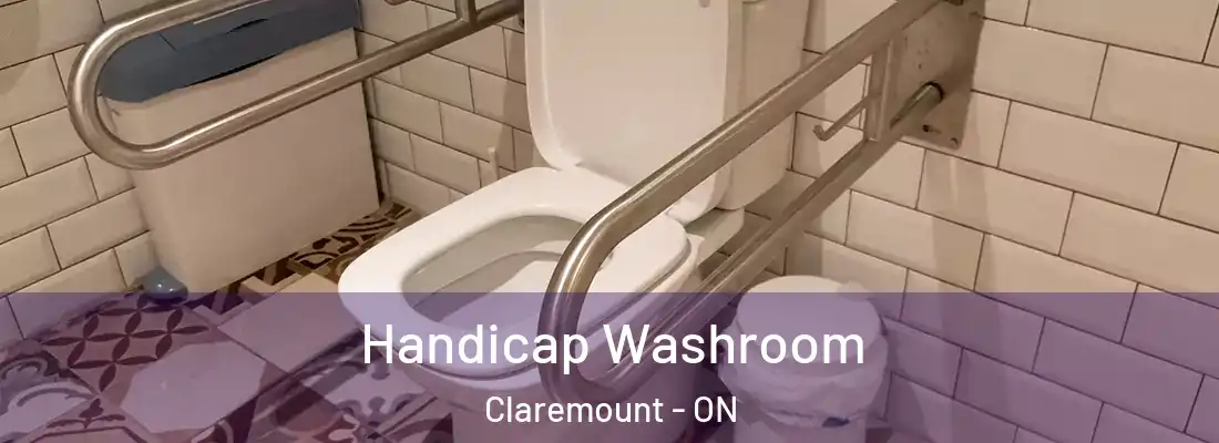  Handicap Washroom Claremount - ON