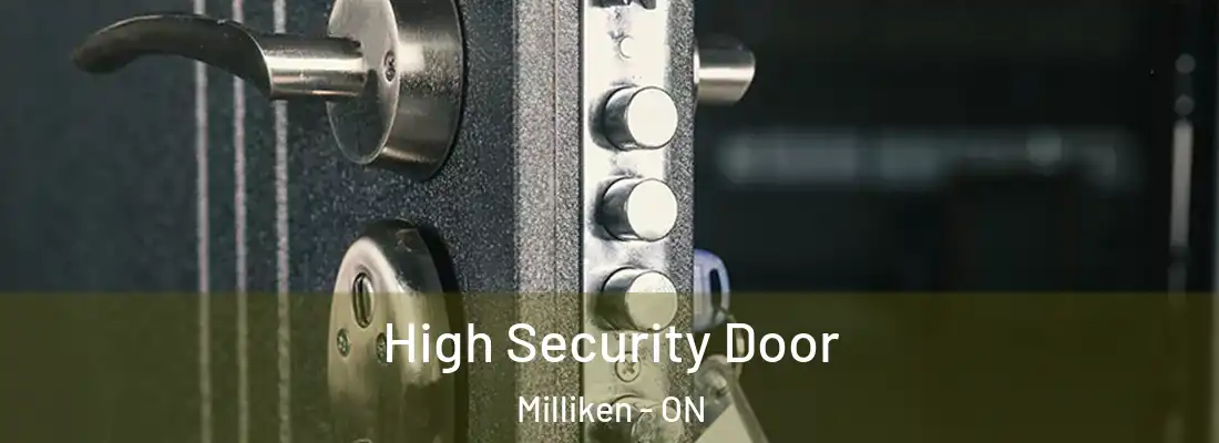  High Security Door Milliken - ON