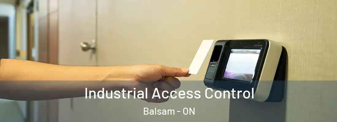  Industrial Access Control Balsam - ON