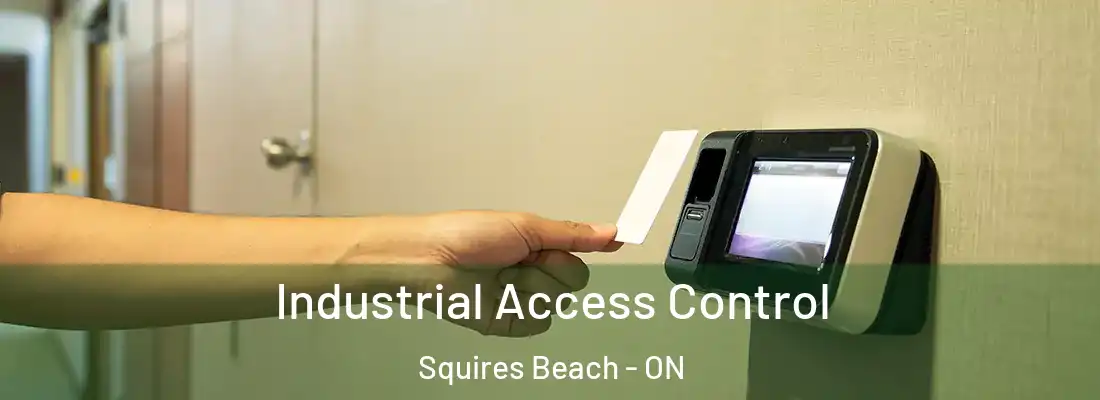  Industrial Access Control Squires Beach - ON