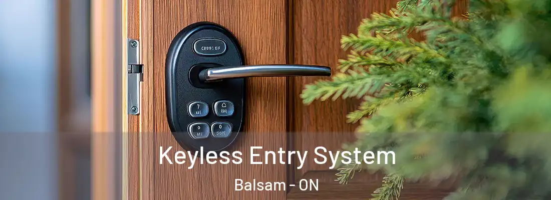  Keyless Entry System Balsam - ON