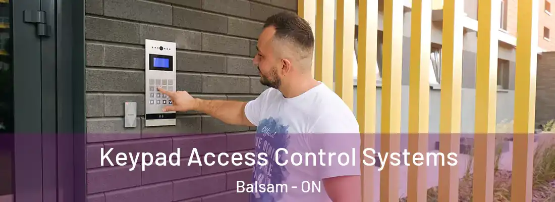  Keypad Access Control Systems Balsam - ON