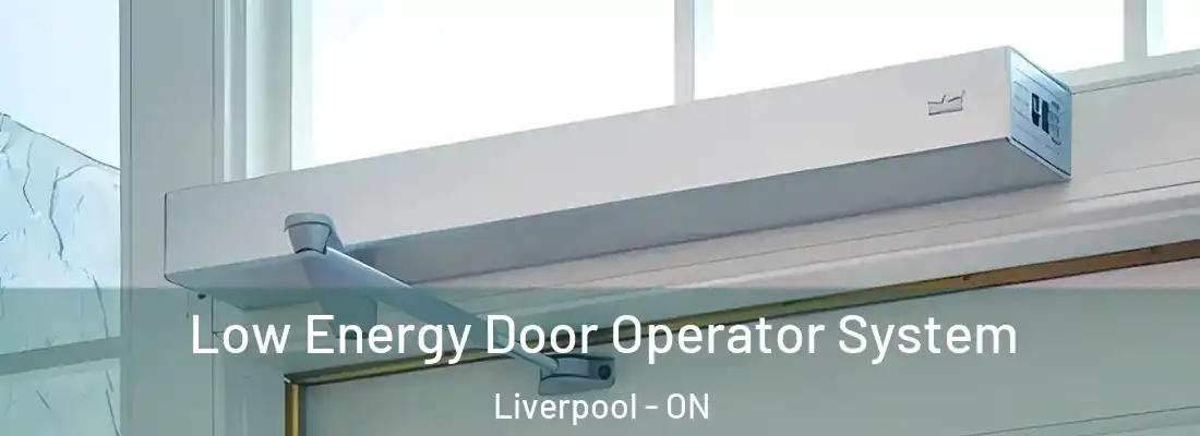  Low Energy Door Operator System Liverpool - ON
