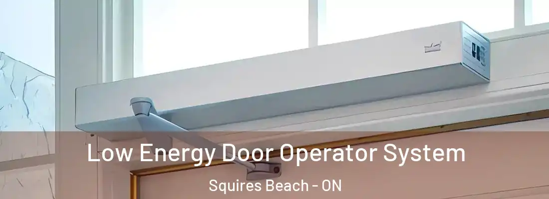  Low Energy Door Operator System Squires Beach - ON
