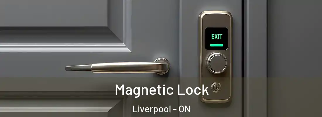  Magnetic Lock Liverpool - ON