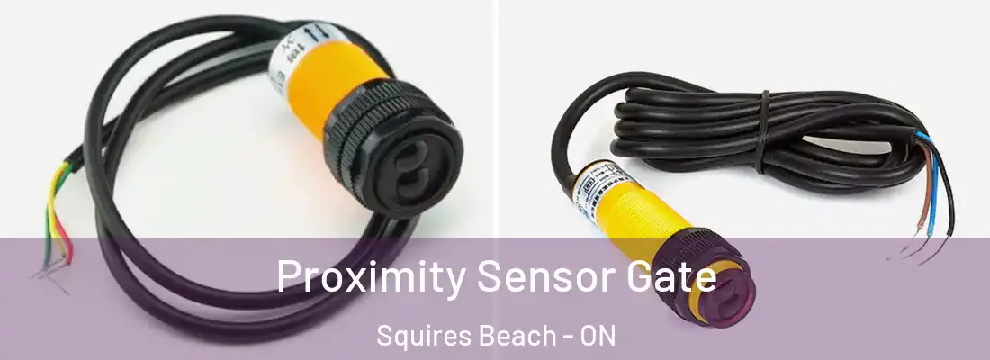  Proximity Sensor Gate Squires Beach - ON