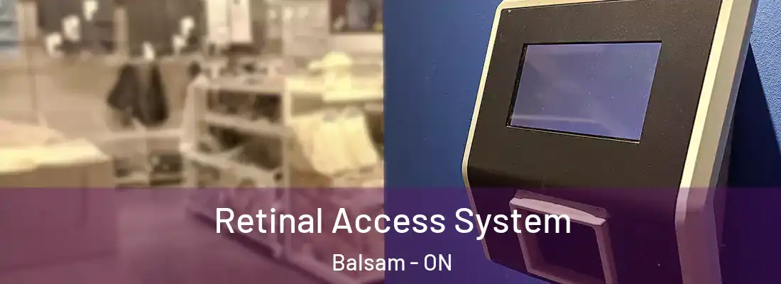  Retinal Access System Balsam - ON