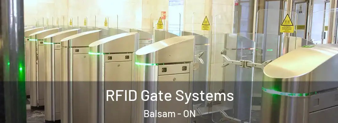  RFID Gate Systems Balsam - ON