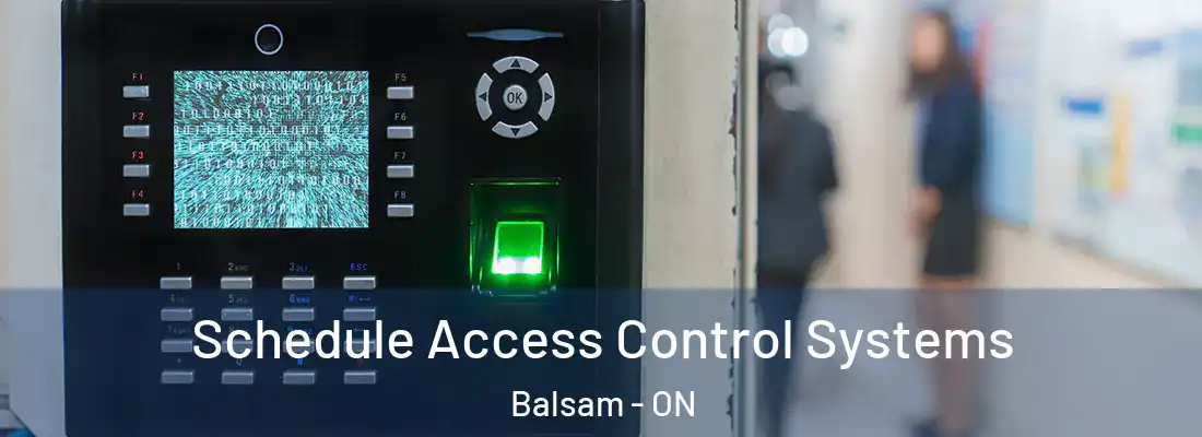  Schedule Access Control Systems Balsam - ON