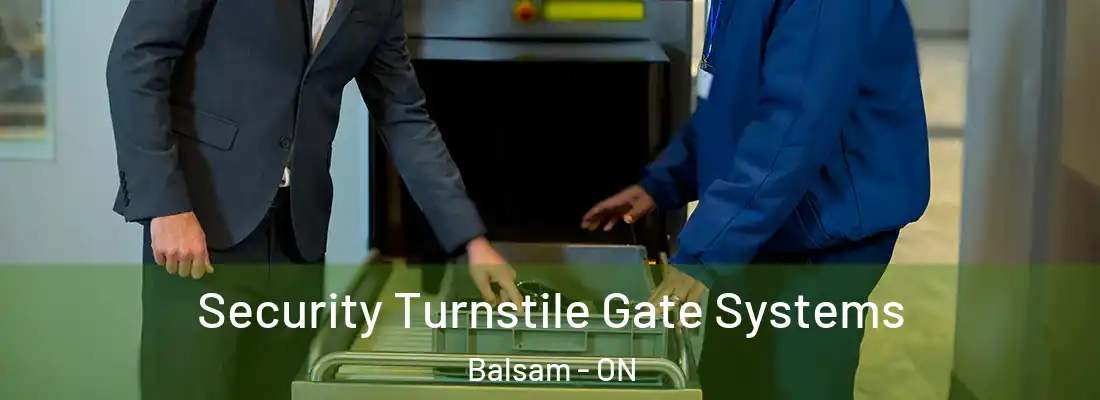  Security Turnstile Gate Systems Balsam - ON