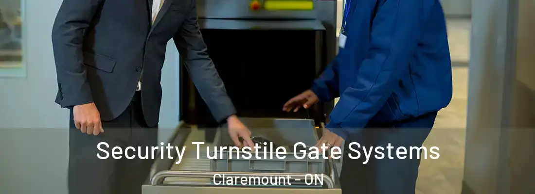  Security Turnstile Gate Systems Claremount - ON