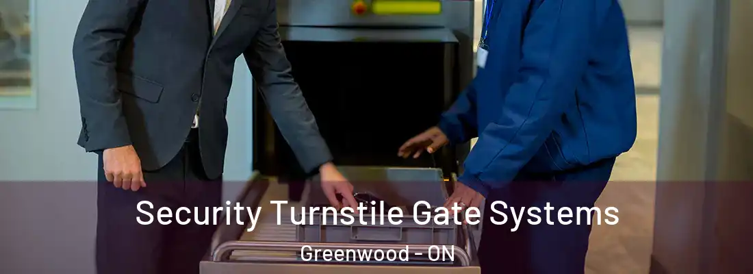  Security Turnstile Gate Systems Greenwood - ON