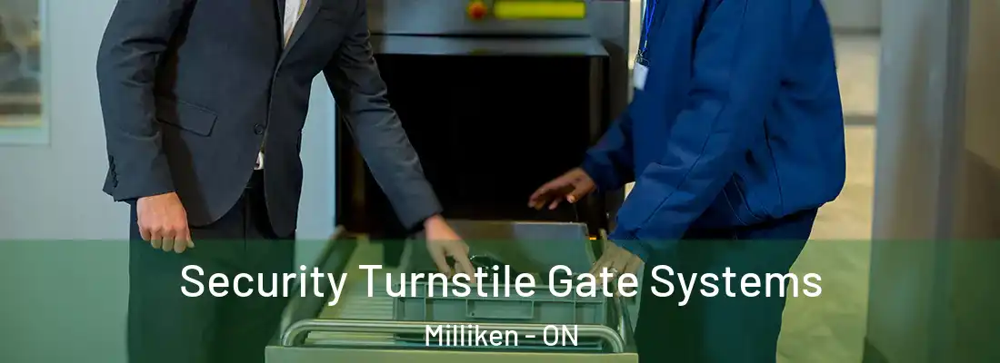  Security Turnstile Gate Systems Milliken - ON