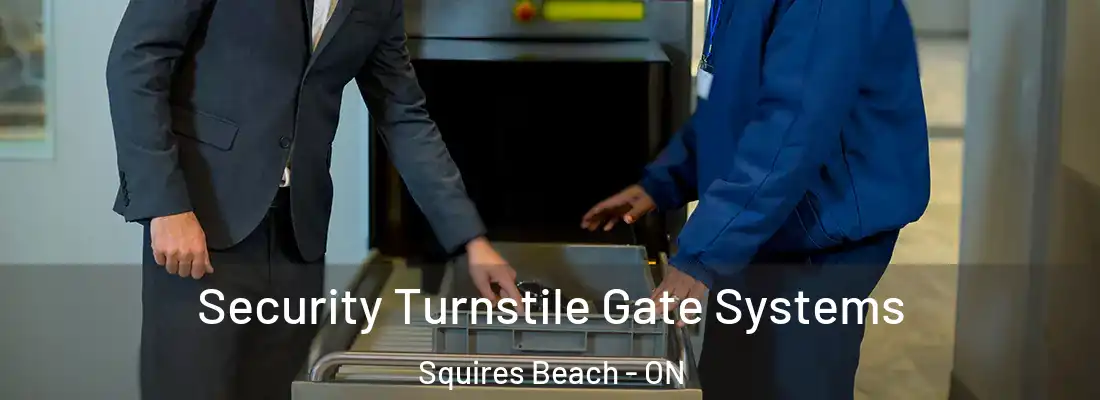  Security Turnstile Gate Systems Squires Beach - ON